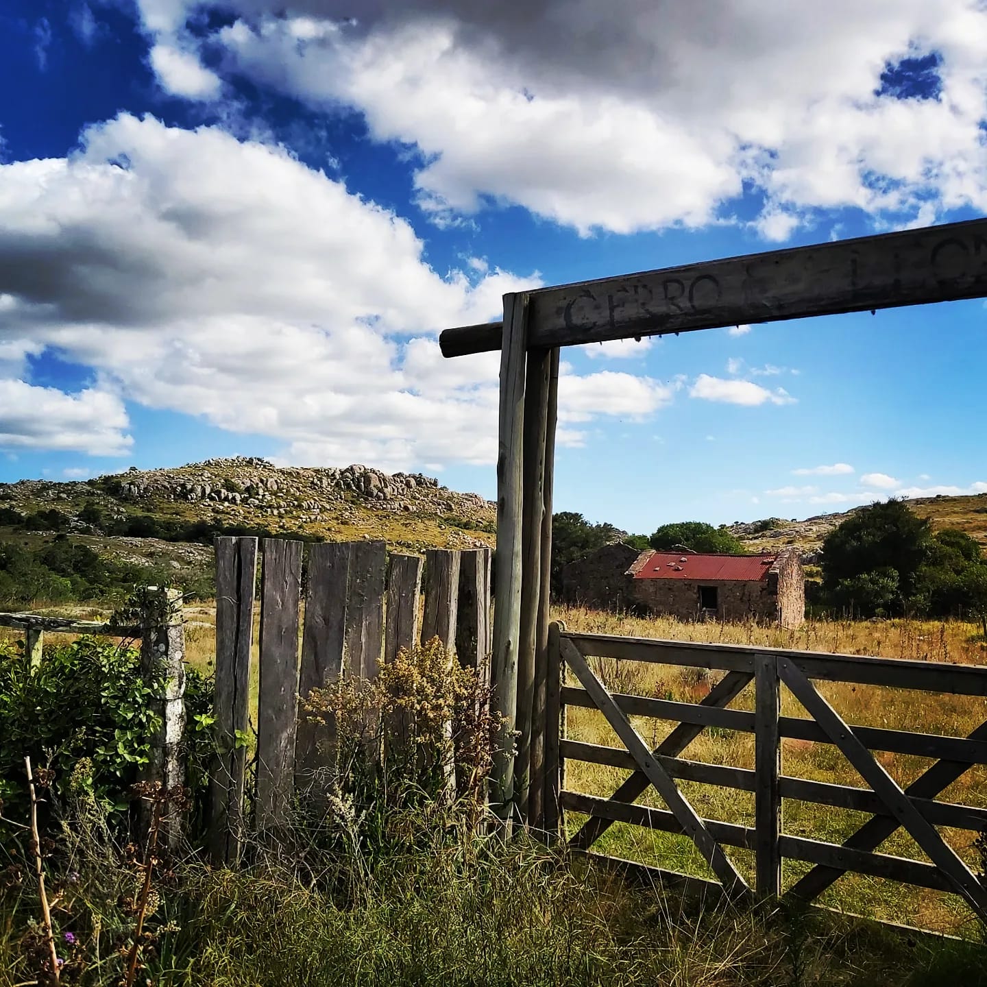 Land kaufen im Hinterland von Uruguay Rocha – Preise