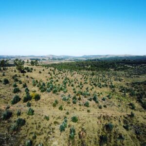 Farmland 5 Hektar Uruguay-Landesinnere für 39 000 US-Dollar  